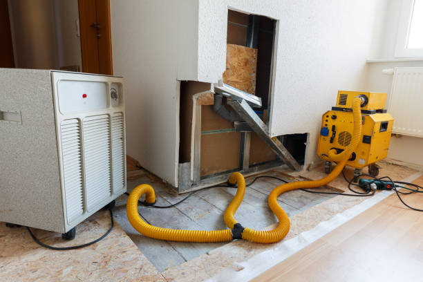 Best HVAC Mold Inspection and Cleaning  in Bristol, FL