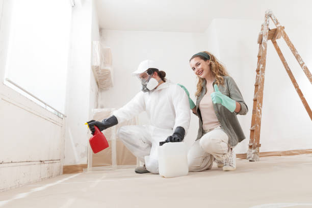 Best Asbestos and Lead Testing During Mold Inspection  in Bristol, FL