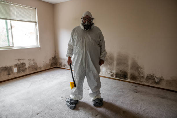 Best Commercial Mold Inspection  in Bristol, FL