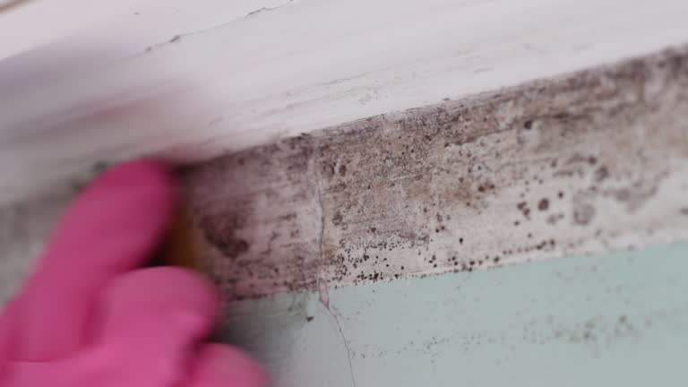 Best Indoor Air Quality Assessment  in Bristol, FL